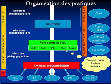  Comment doivent évoluer nos écoles de natation 